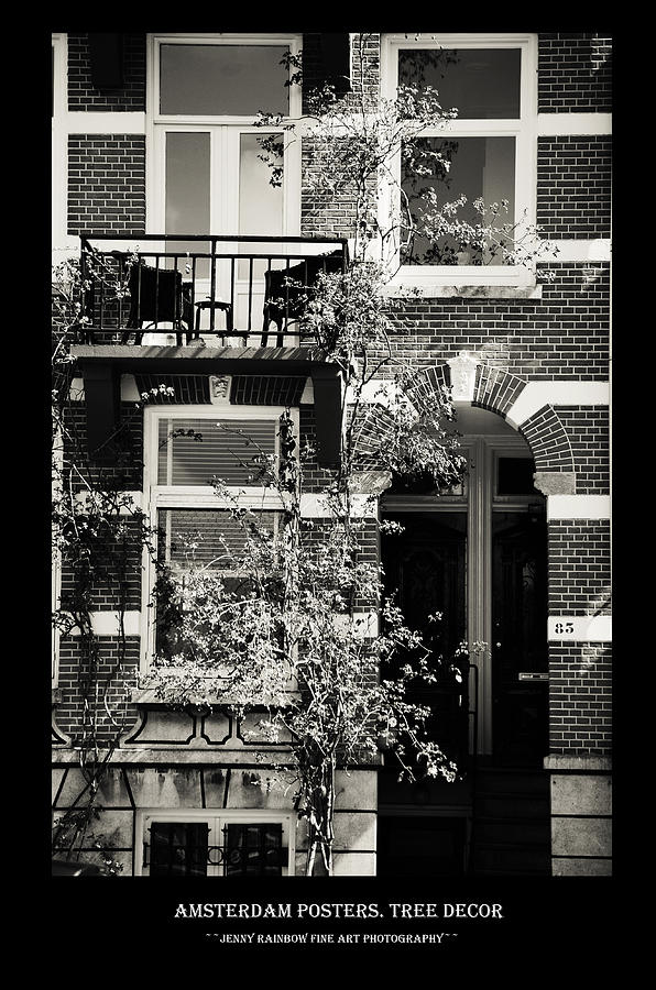 Amsterdam Posters. Tree Decor Photograph by Jenny Rainbow