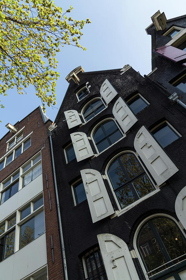 Amsterdam Spring - Arched Windows and Shutters - Left Photograph by Georgia Mizuleva