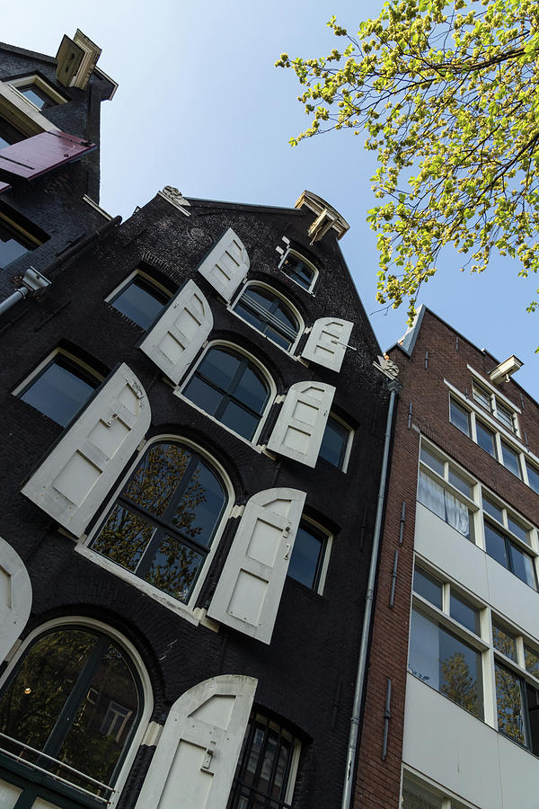 Amsterdam Spring - Arched Windows and Shutters - Right Photograph by Georgia Mizuleva