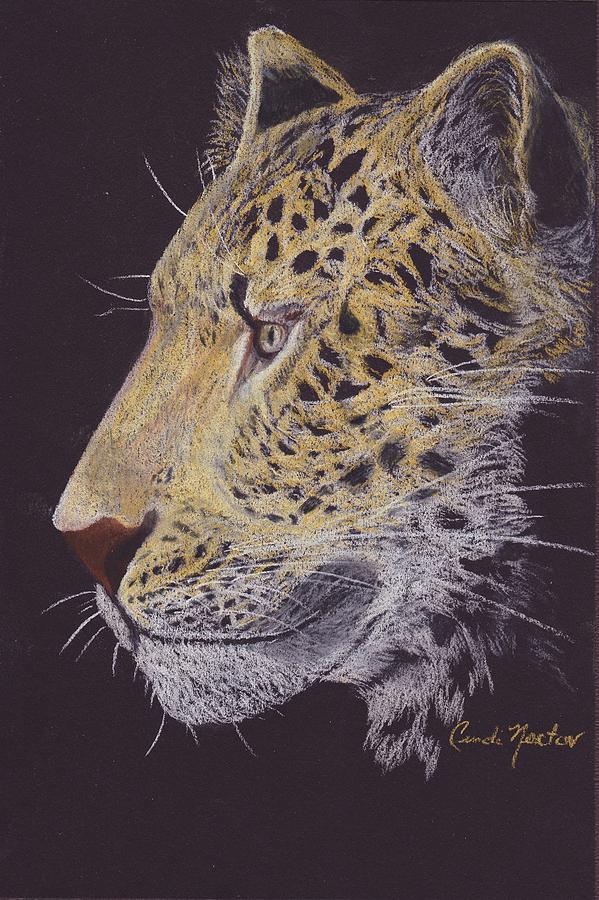 Amur Leopard Drawing by Cindi Norton Fine Art America