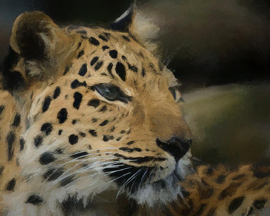 Amur Leopard DA Digital Art by Ernest Echols