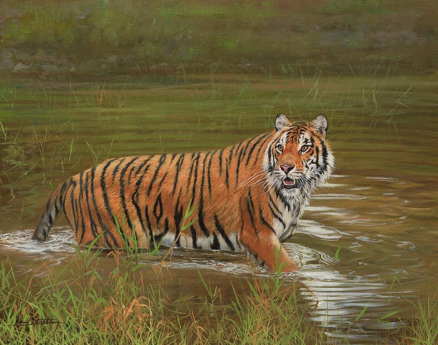 Tiger Painting - Amur Tiger Cooling Off by David Stribbling