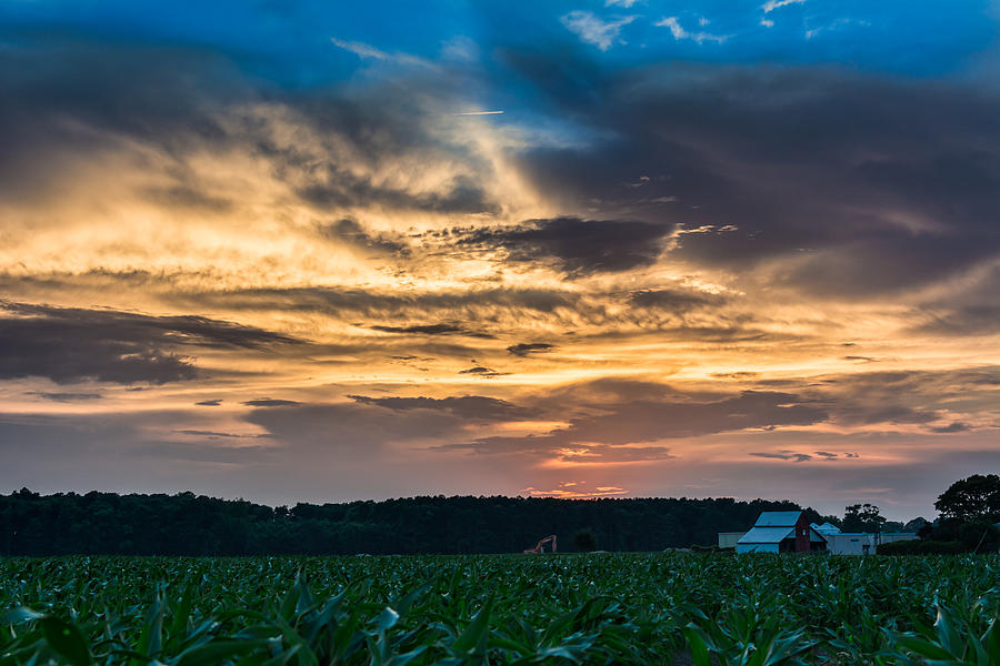 An A-maize-ing Sunset Photograph