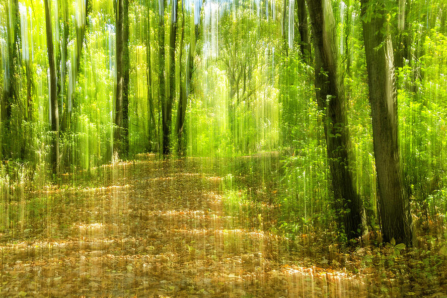 An Abstract Path 1 Photograph By Tom Clark - Fine Art America