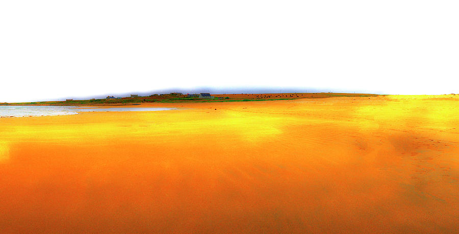 An Abstraction of Yellows Photograph by Jan W Faul