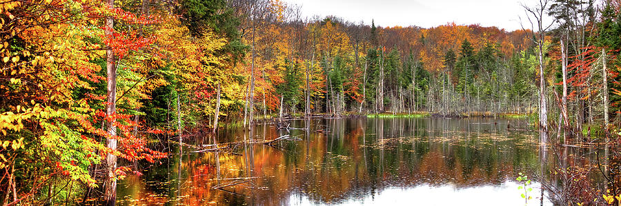 An Adirondack Pond Photograph by David Patterson
