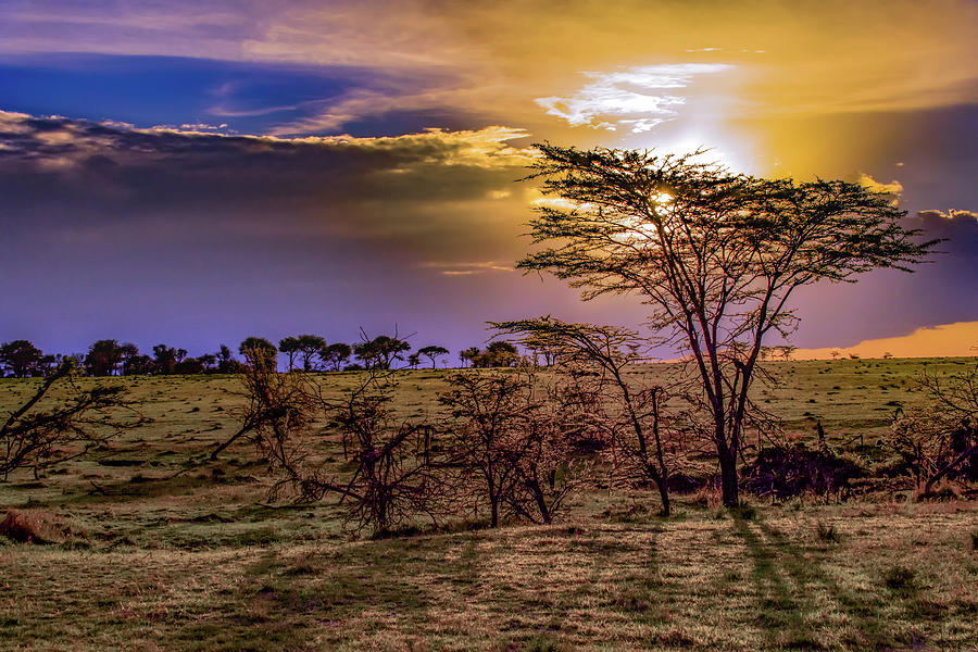 An African Sunset Photograph by Janis Knight