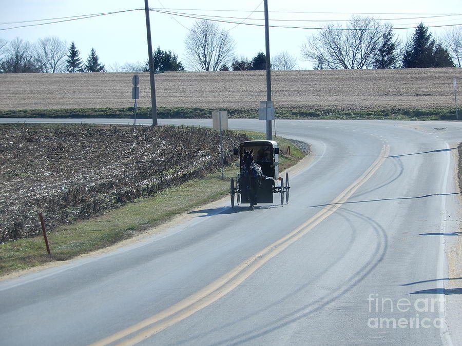An Afternoon Buggy Ride Photograph by Christine Clark
