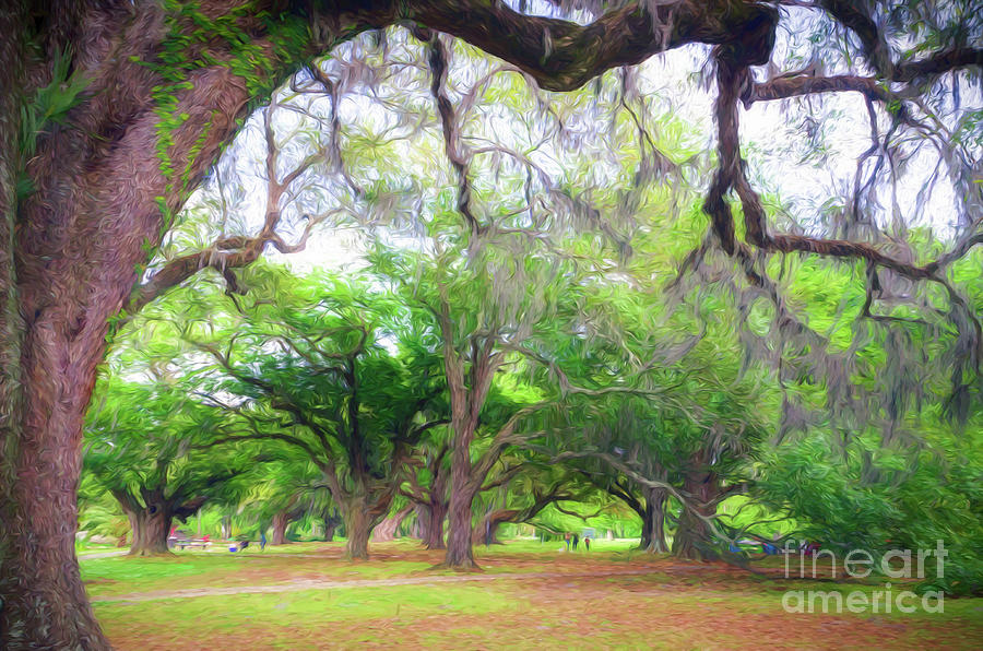 An Afternoon in City Park - New Orleans Photograph by Kathleen K Parker
