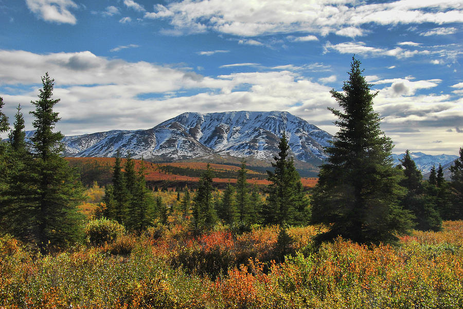 Nature Photograph - An Alaskan Landscape by Phyllis Taylor