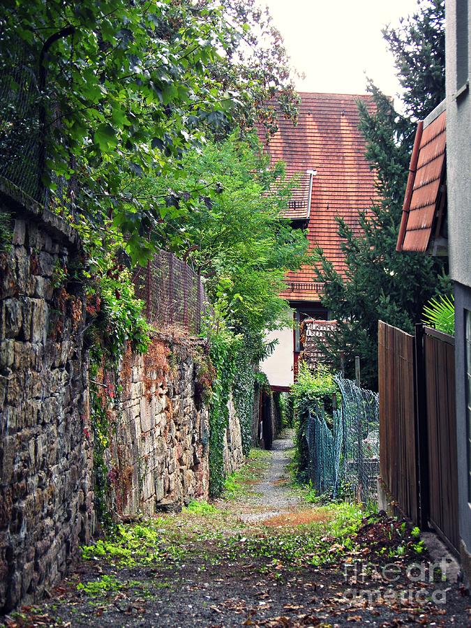 An Alley in Schwaigern Photograph by Sarah Loft