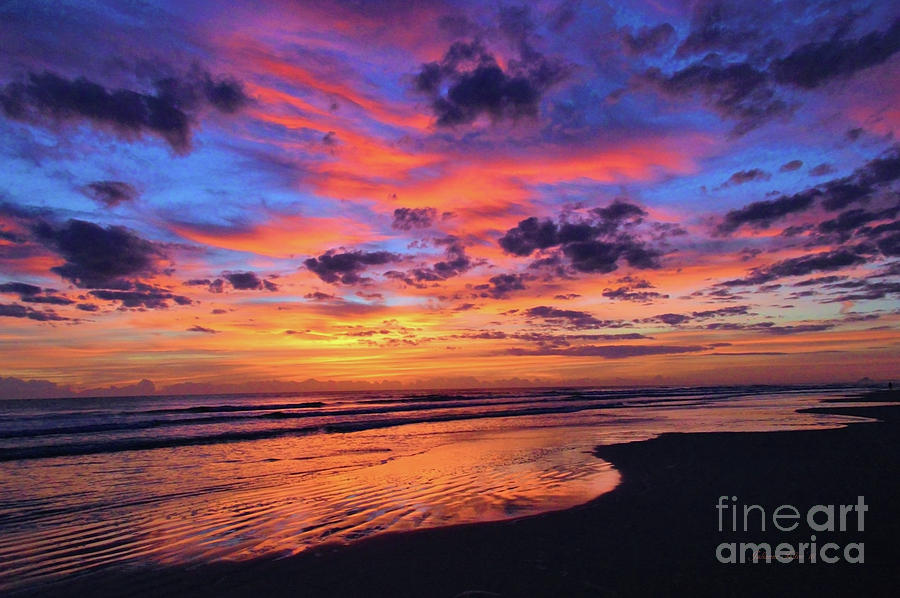 An amazing dawn beach reflection  Photograph by Julianne Felton