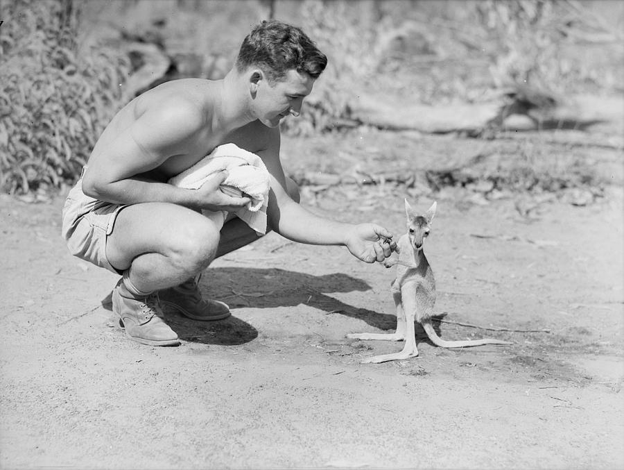 An American Soldier With A Joey Painting