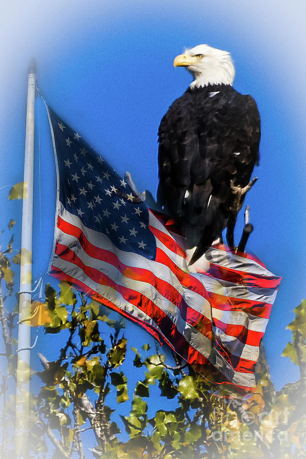 Flag Photograph - An American Tribute by Terri Morris