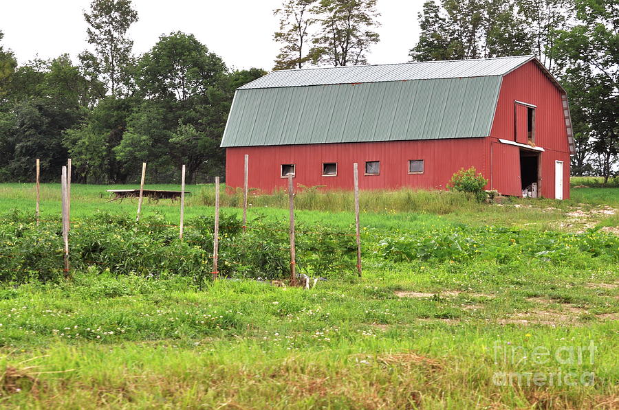 An Amish Barn Photograph By Penny Neimiller