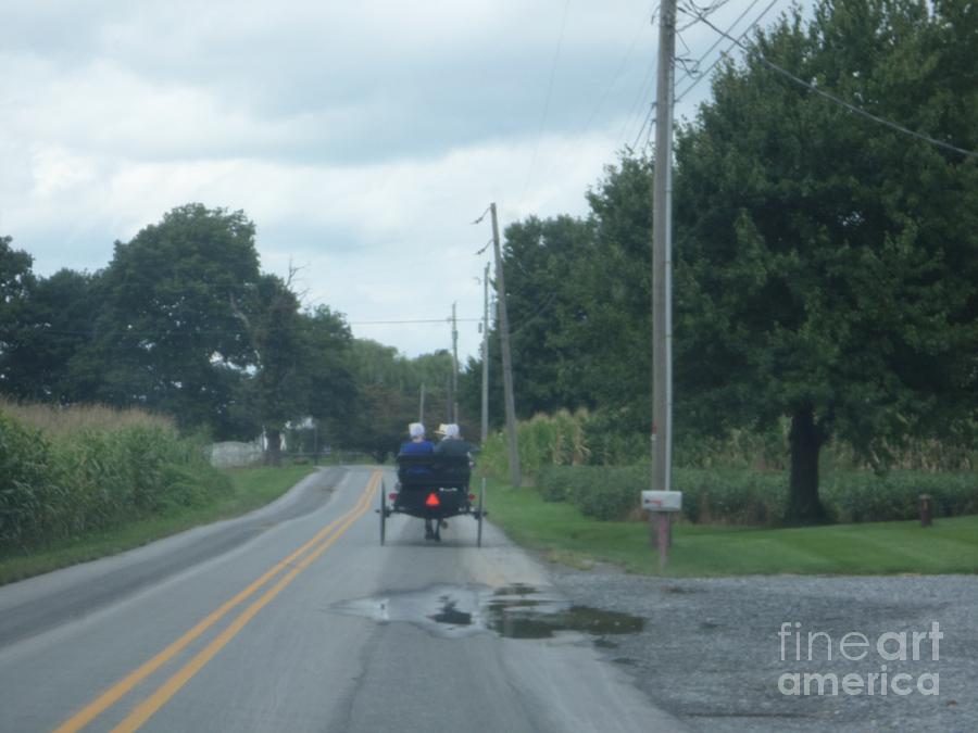 An Amish Buggy Photograph by Christine Clark