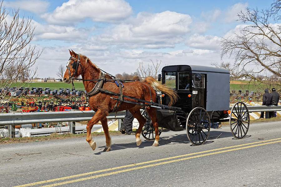 An Amish carriage in Lancaster County, Pennsylvania Photograph by