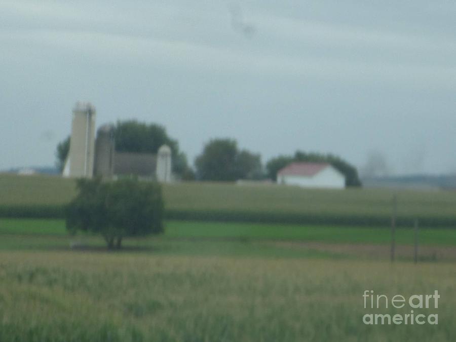 An Amish Farm in August Photograph by Christine Clark