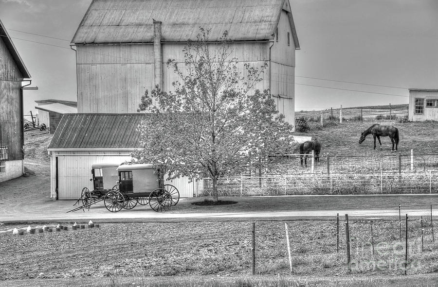 An Amish Farm in b/w Photograph by Dyle Warren