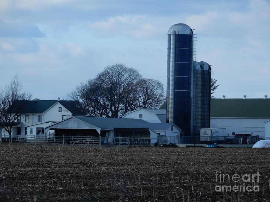 An Amish Farm Two Photograph by Christine Clark