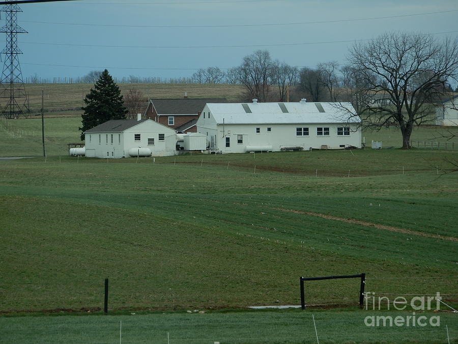 An Amish Homestead Photograph By Christine Clark Fine Art America   An Amish Homestead Christine Clark 