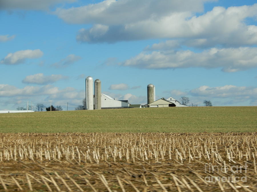 An Amish Homestead Two Photograph By Christine Clark Fine Art America   An Amish Homestead Two Christine Clark 