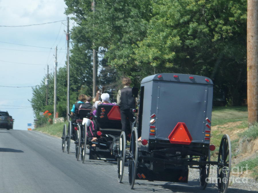 An Amish Outing Photograph by Christine Clark