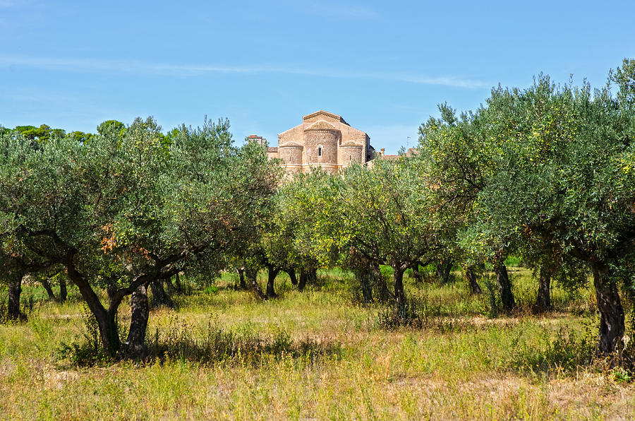 An ancient abbey - Italian landscape Photograph by AM FineArtPrints
