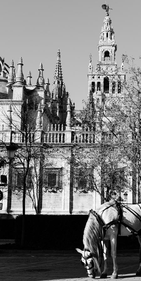 An ancient view - Seville Giralda Photograph by AM FineArtPrints