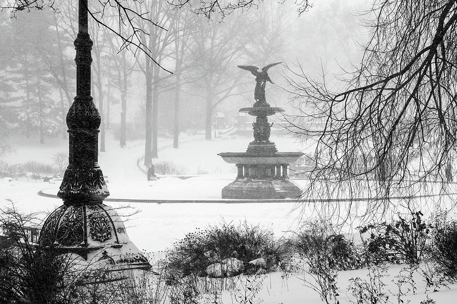 An Angel in Winter Photograph by Cornelis Verwaal