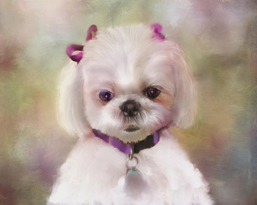An Angel of Fluff Mixed Media by Colleen Taylor