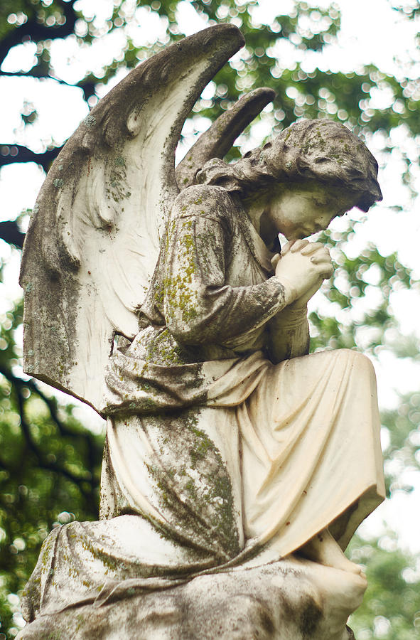 Angel Photograph - An angels prayer by Stephanie Johnson