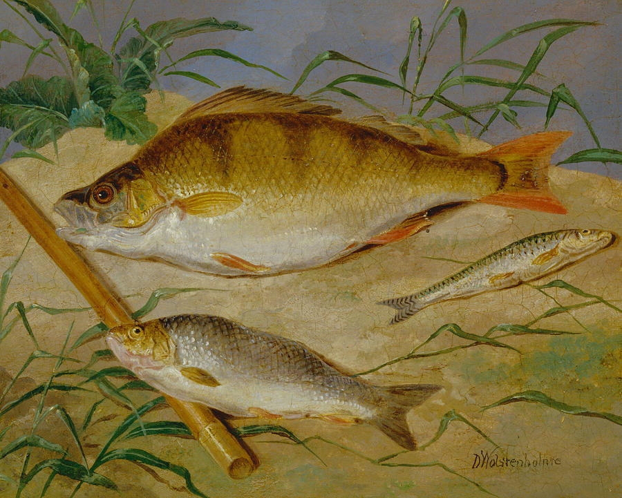 An Anglers Catch of Coarse Fish Painting by Dean Wolstenholme