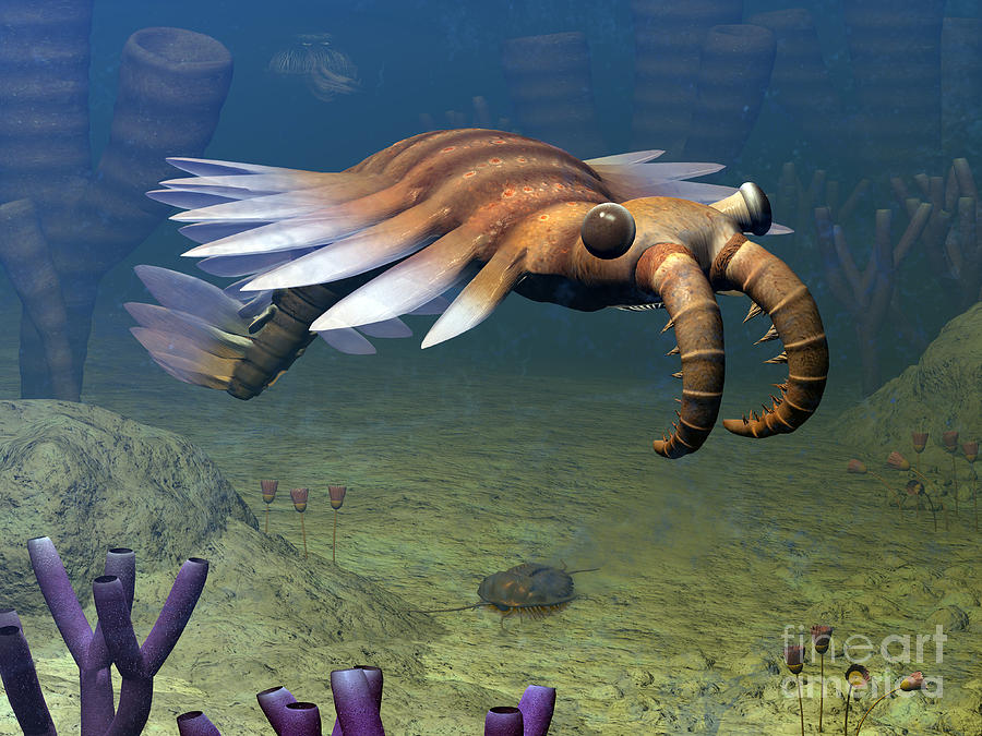 Animal Digital Art - An Anomalocaris Explores A Middle by Walter Myers