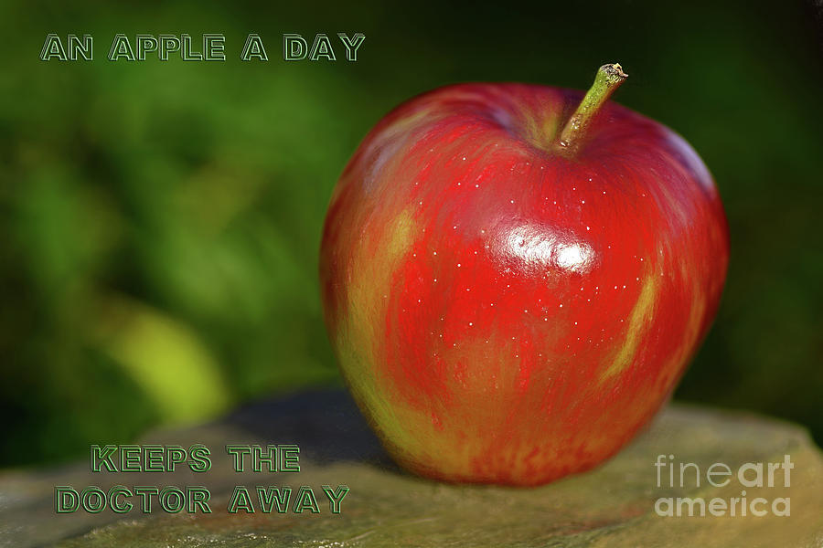 Nature Photograph - An Apple A Day by Kaye Menner by Kaye Menner