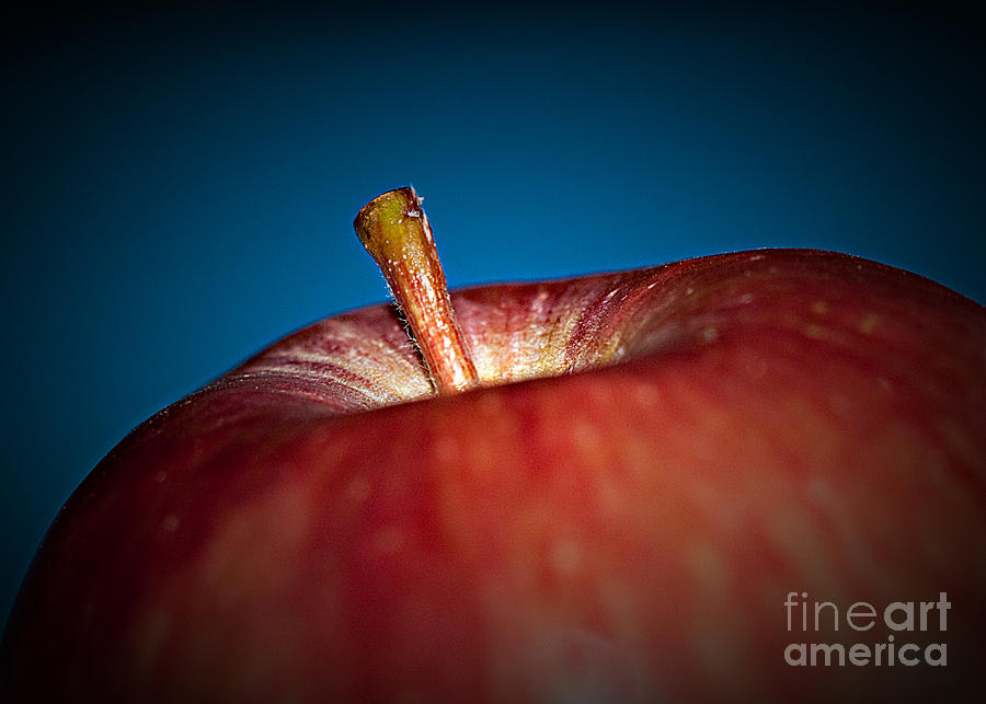 An Apple a Day Photograph by Sherry Hallemeier