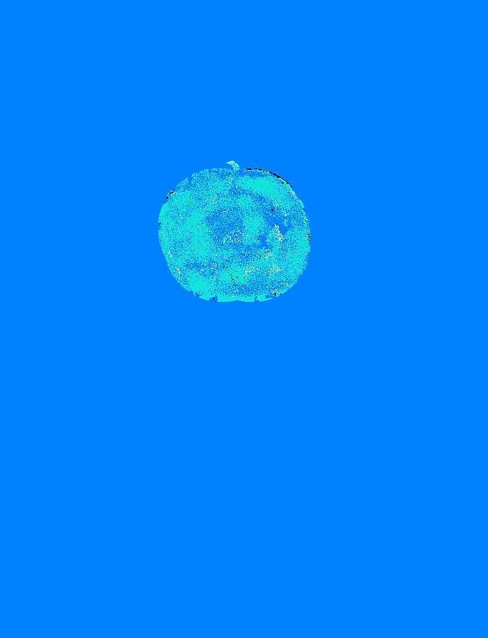 An apple in blue Digital Art by Joseph Ferguson