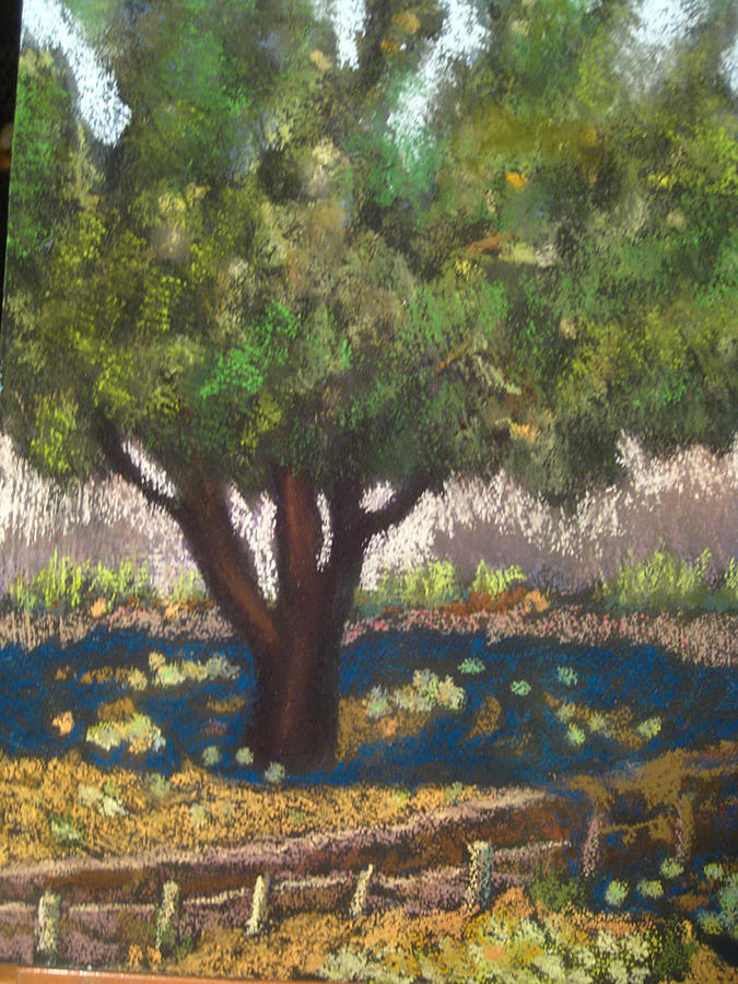 An Apple Tree Pastel by Constance Gehring