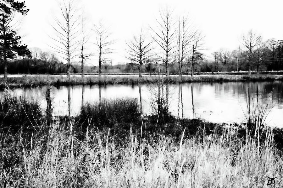 An Arkansas Pond Photograph by Gina OBrien
