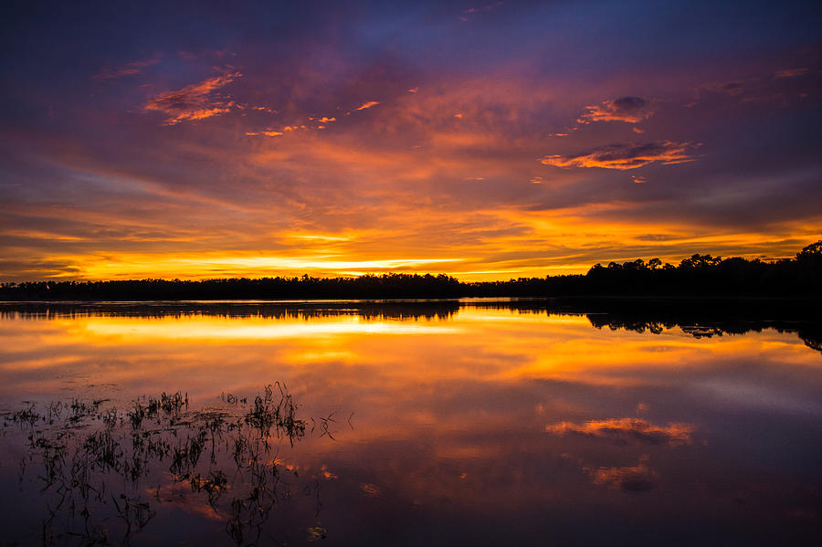Sunset Photograph - An Array Of Colors by Parker Cunningham