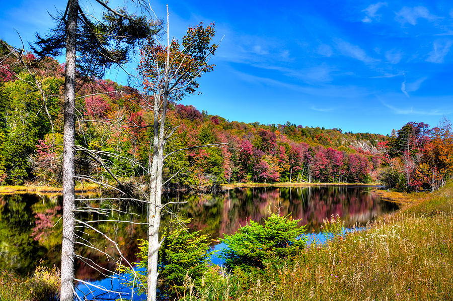 An Autumn Afternoon at Bald Mountain Pond Photograph by David Patterson