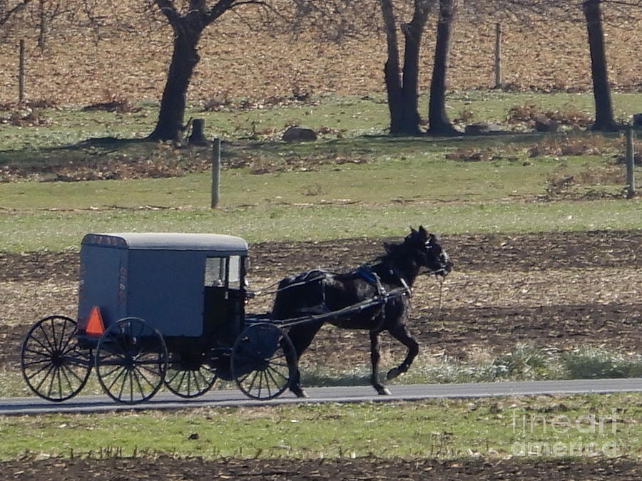 An Autumn Buggy Ride Photograph By Christine Clark - Fine Art America