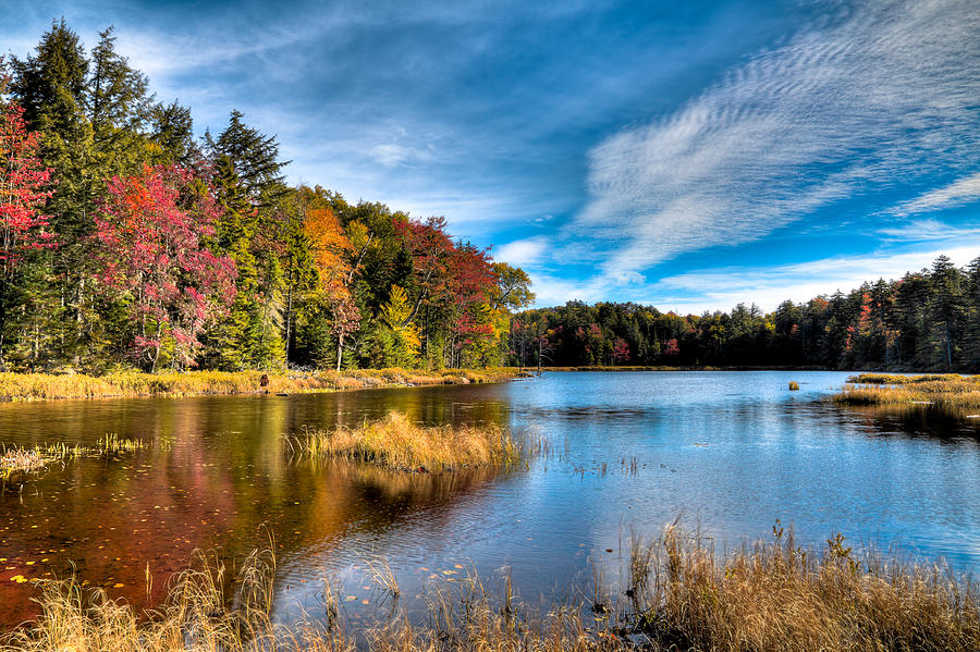 An Autumn Day at Fly Pond Photograph by David Patterson