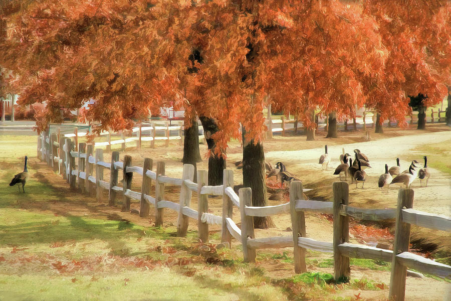 An Autumn Day at the Park Photograph by Donna Kennedy