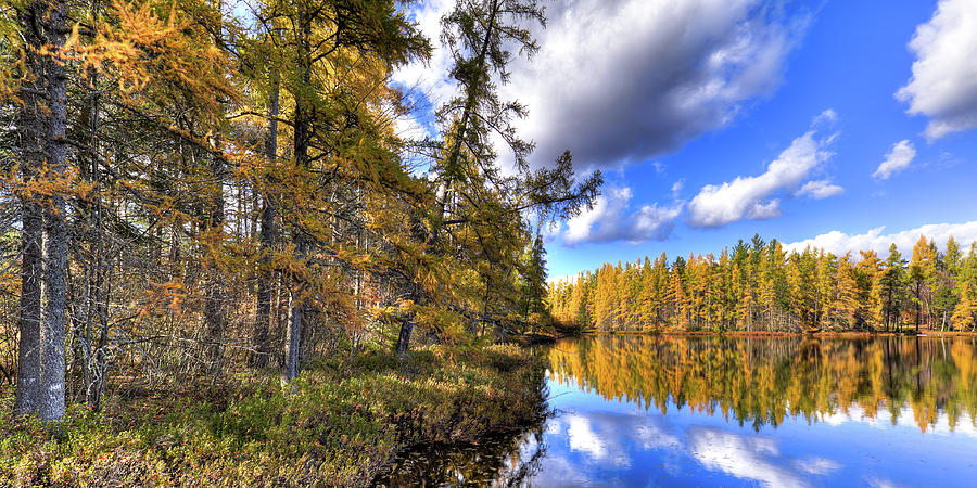 An Autumn Day at Woodcraft Camp Photograph by David Patterson
