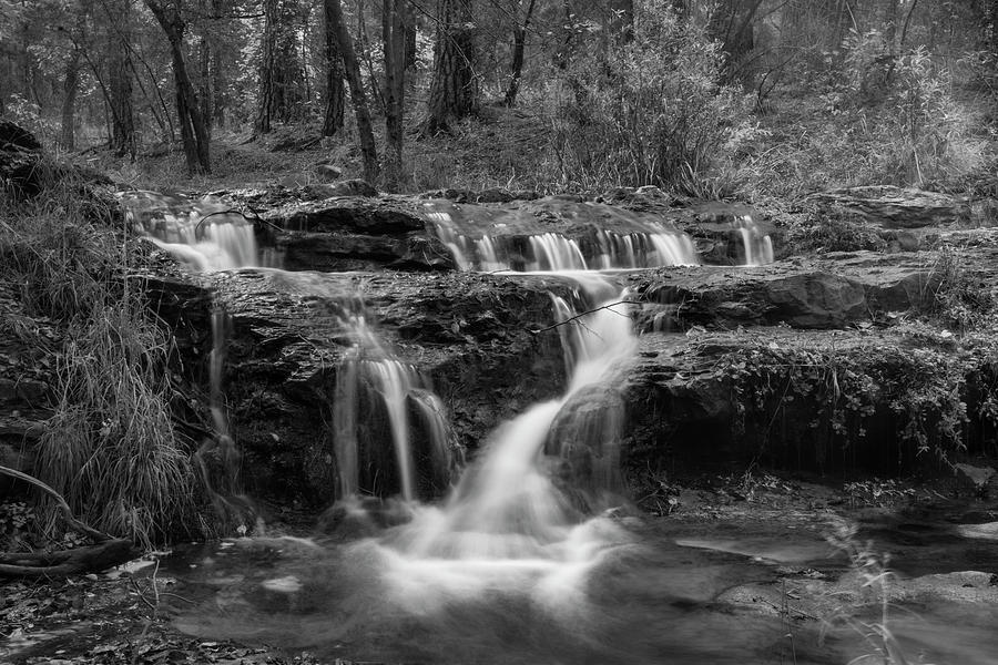 An Autumn Day Creekside in Black and White  Photograph by Saija Lehtonen