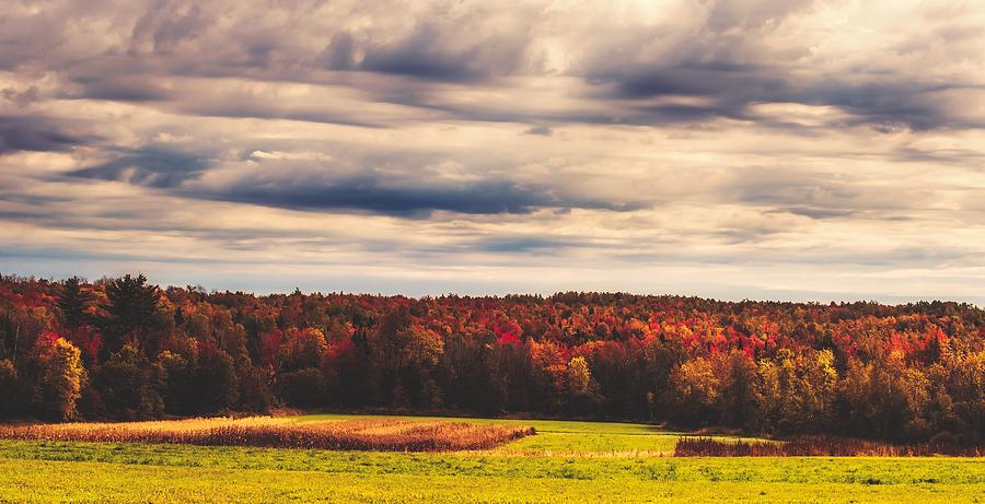 An Autumn Day In Maine Photograph by Mountain Dreams