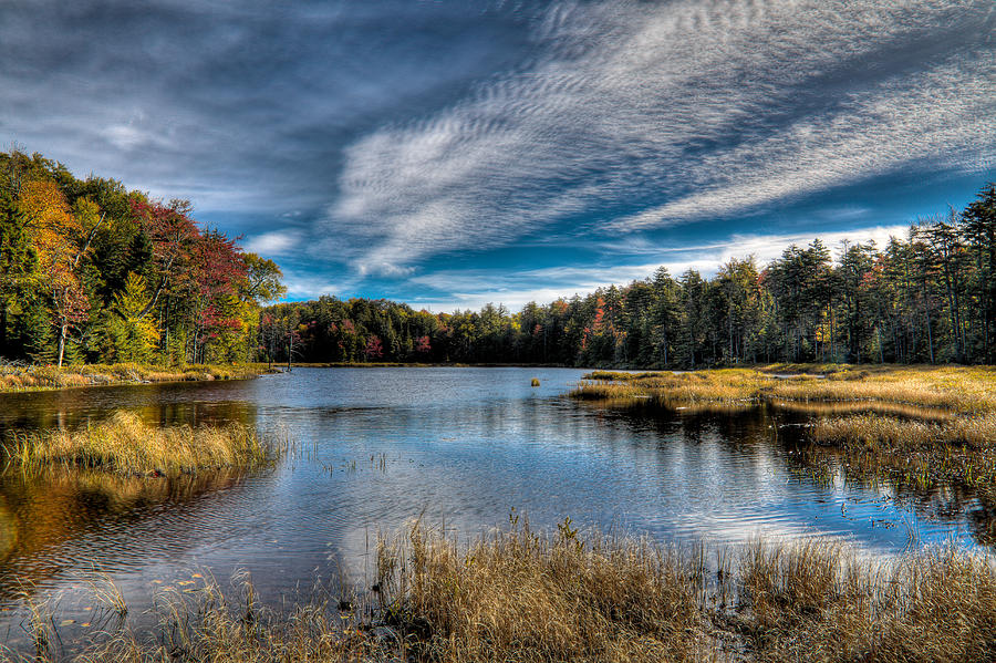An Autumn Day on Fly Pond Photograph by David Patterson