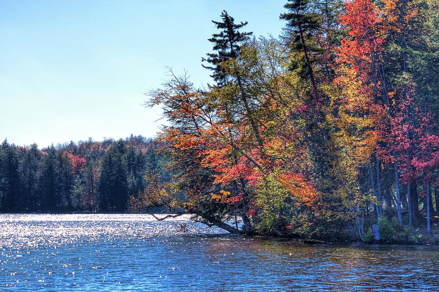 An Autumn Day on the Fulton Chain Photograph by David Patterson