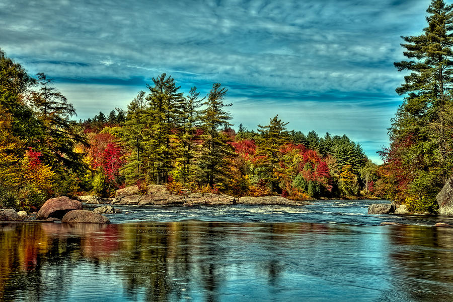 Tree Photograph - An Autumn Day on the Moose River by David Patterson